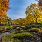 Japangarten im Herbst