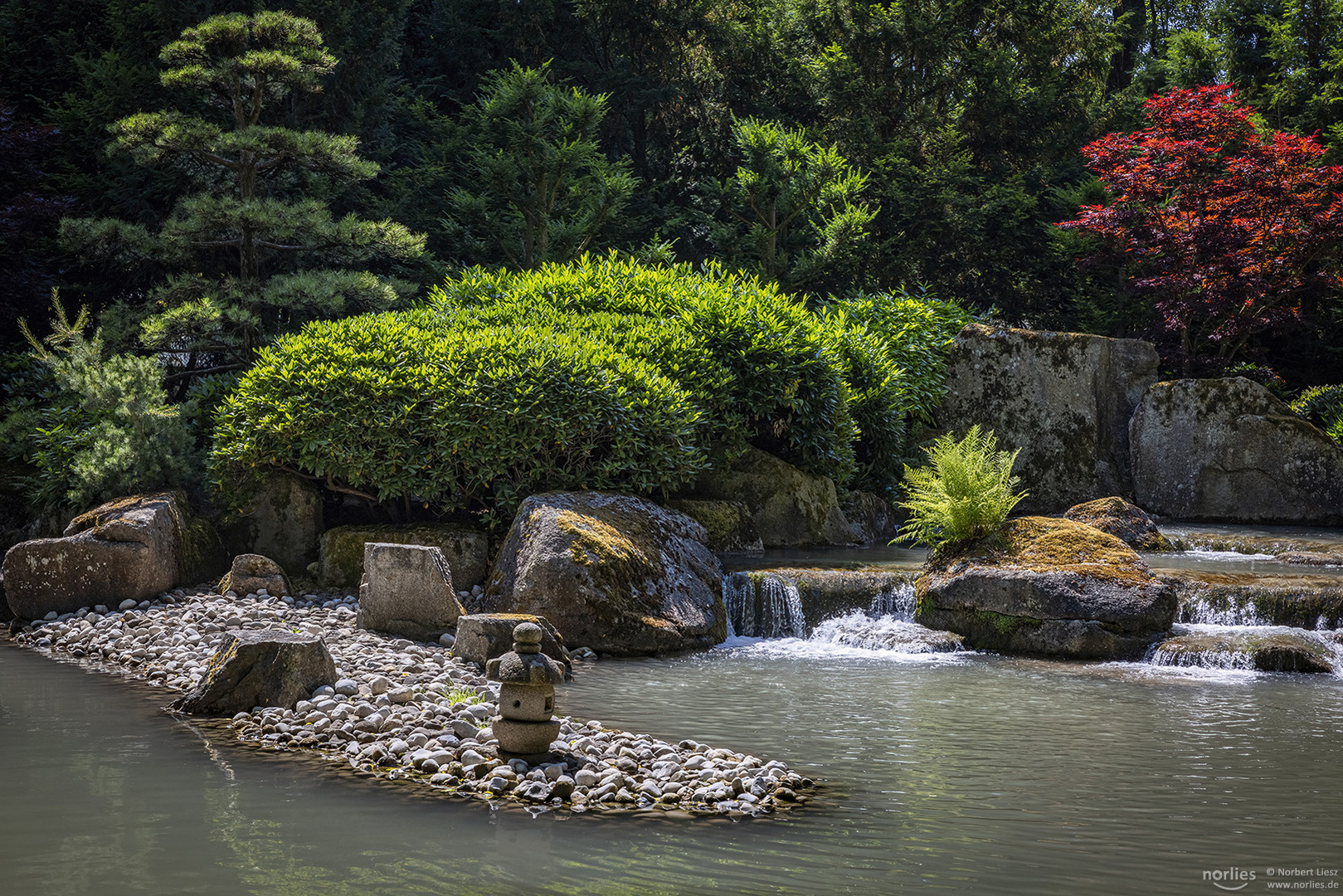 Japangarten im Sommer