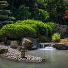 Japangarten im Sommer