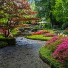 Japangarten im Sommer