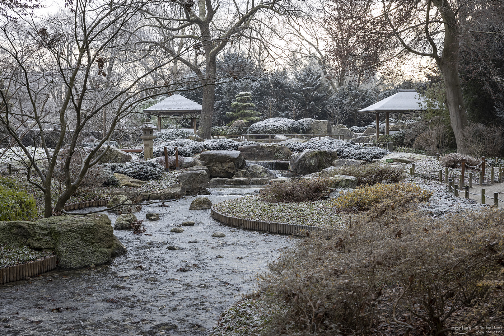 Japangarten im Winter