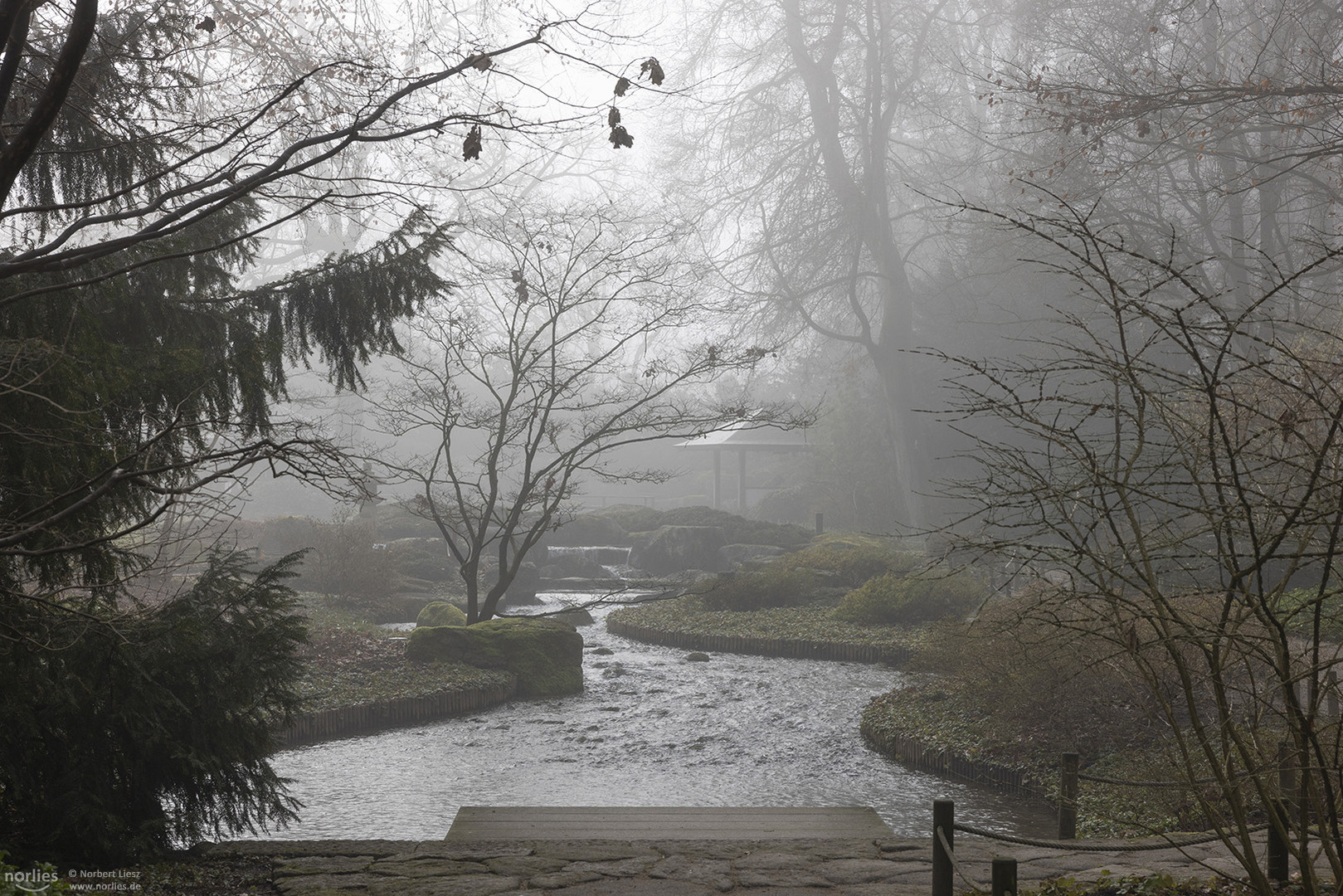 Japangarten mit Nebel