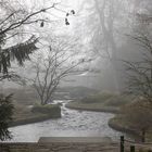 Japangarten mit Nebel