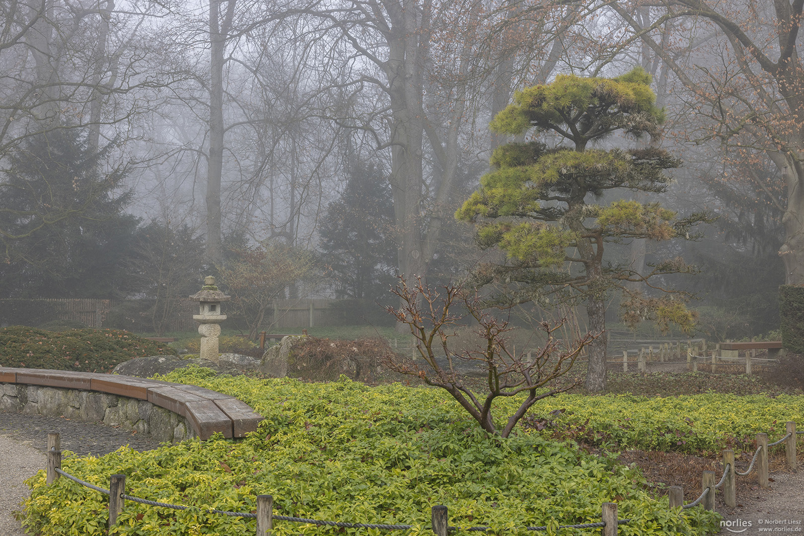 Japangarten mit Nebelstimmung