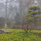 Japangarten mit Nebelstimmung