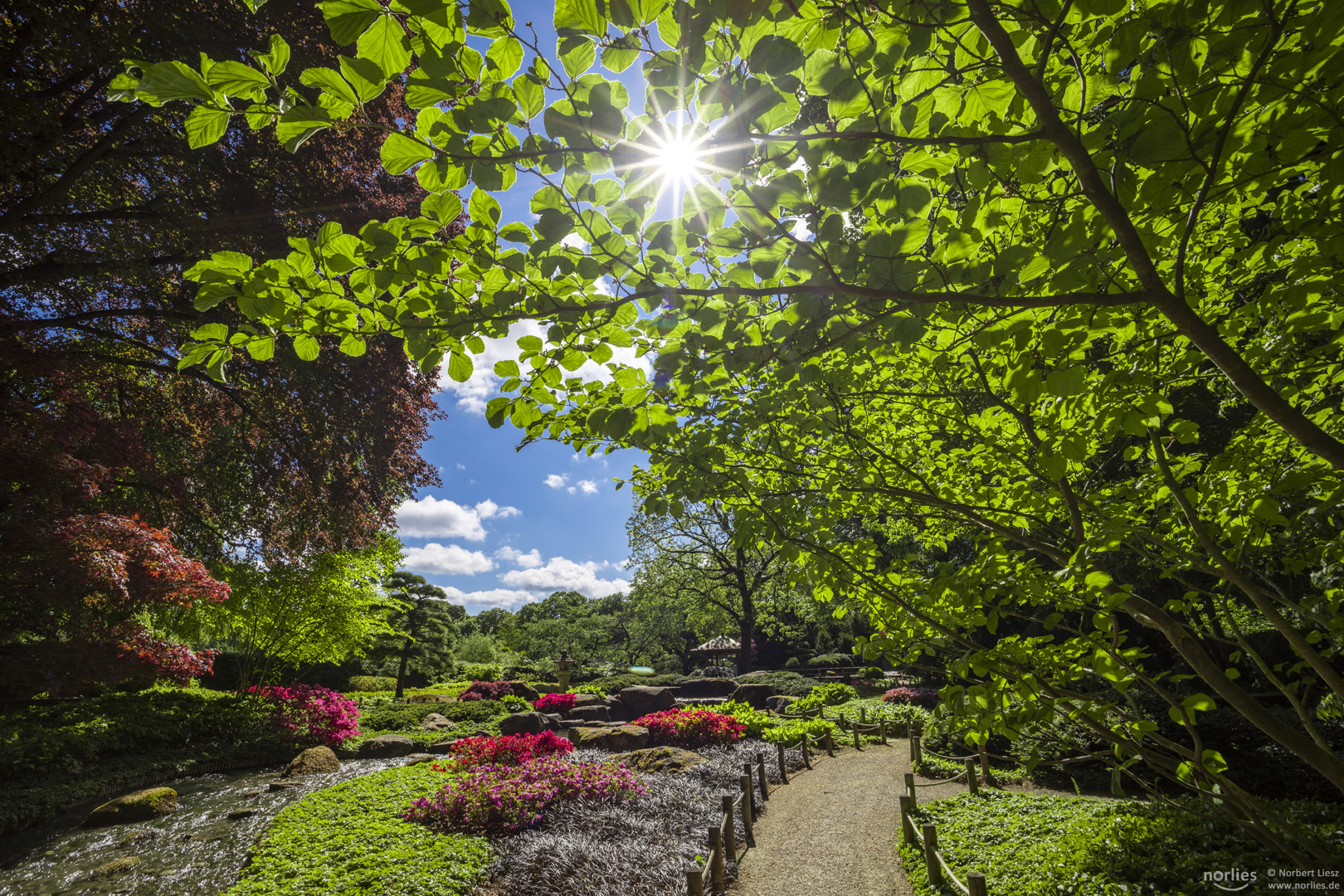 Japangarten mit Sonnenstern