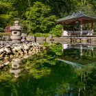 Japangarten Spiegelung