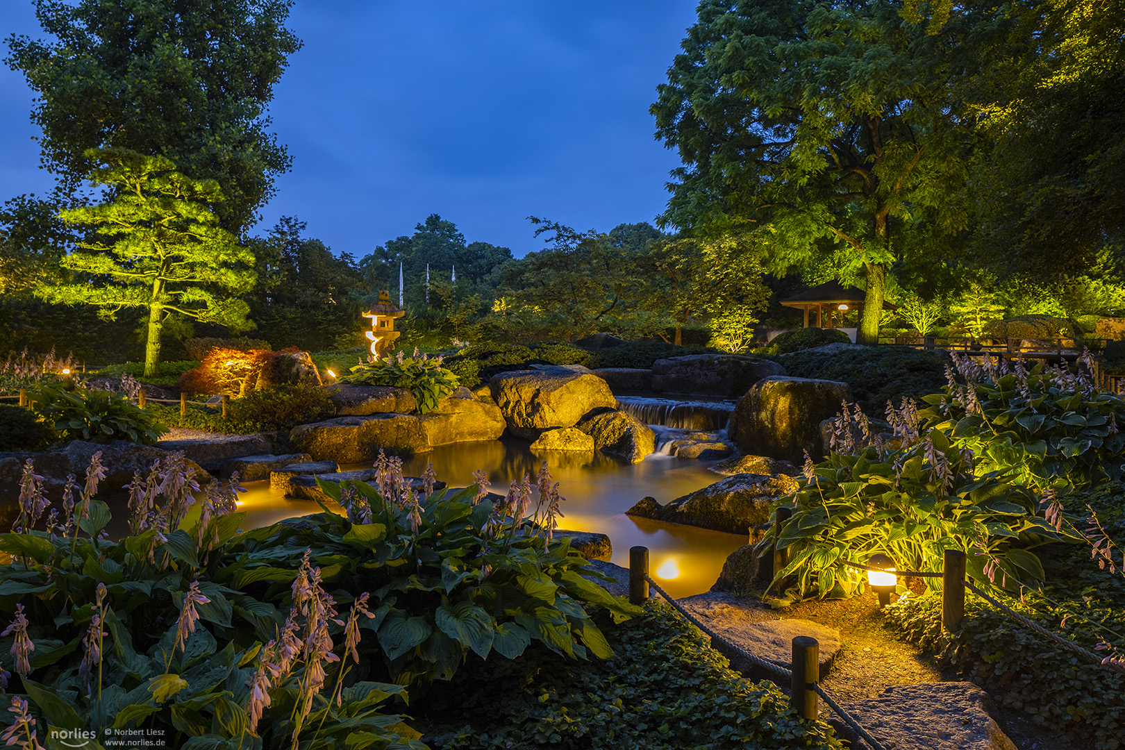 Japangarten zur Blauen Stunde