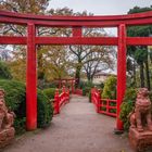 japanische Brücke III - Tierpark Hagenbeck/Hamburg