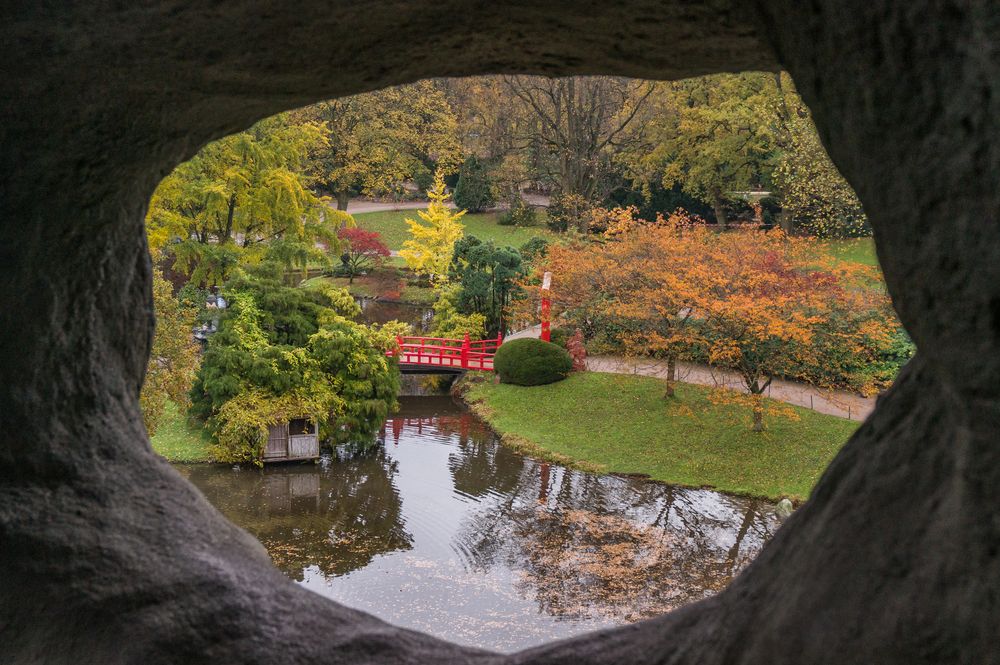 japanische Brücke III - Tierpark Hagenbeck/Hamburg