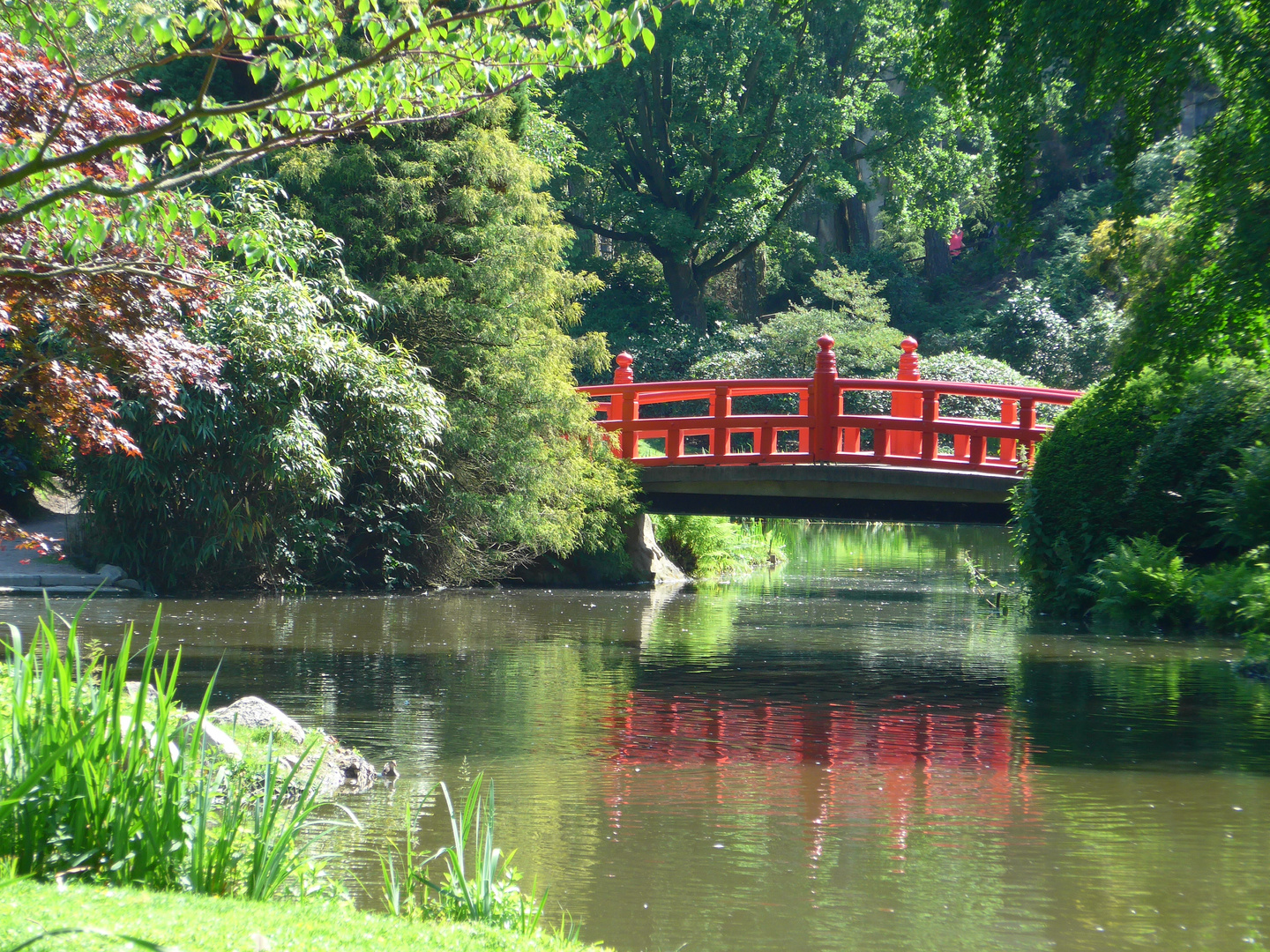 Japanische Brücke im Tierpark Hagenbeck