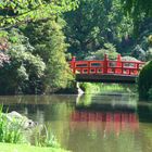 Japanische Brücke im Tierpark Hagenbeck