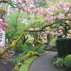 Japanische Gärten in Kildare, Irland