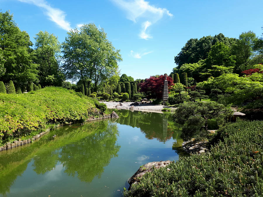 Japanische Garten 