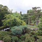 japanische Garten...