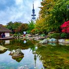 Japanische Garten