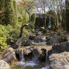 Japanische Garten in Bonn