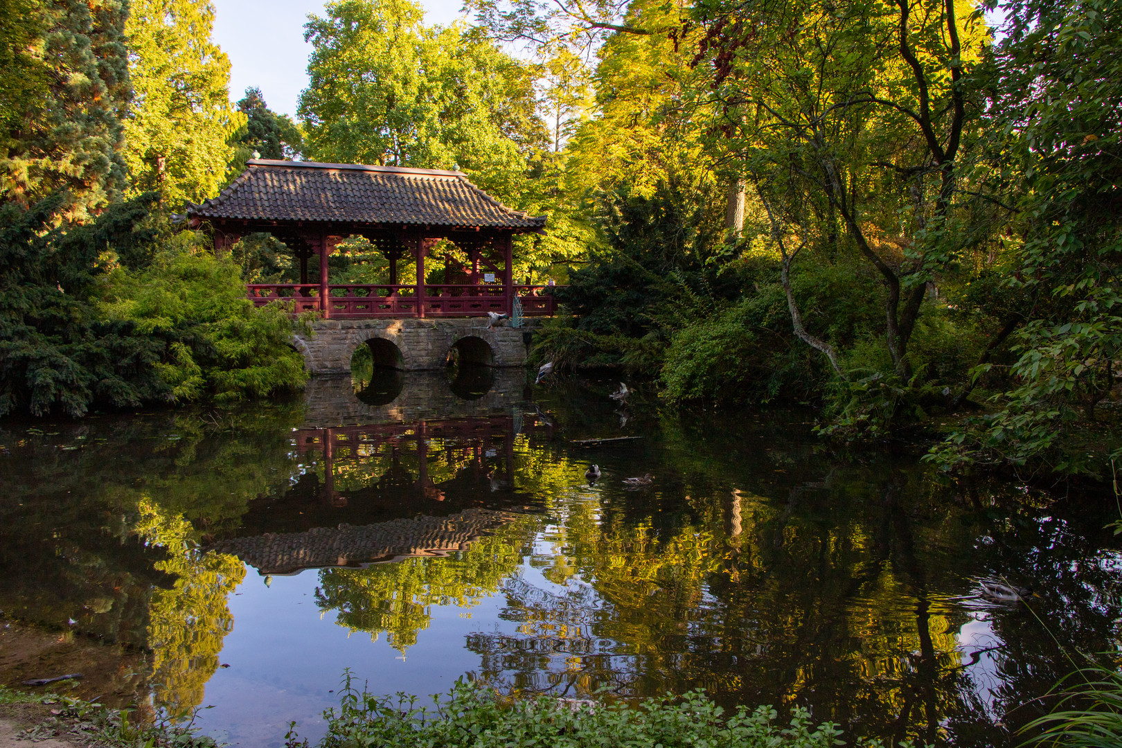 Japanische Garten Leverkusen