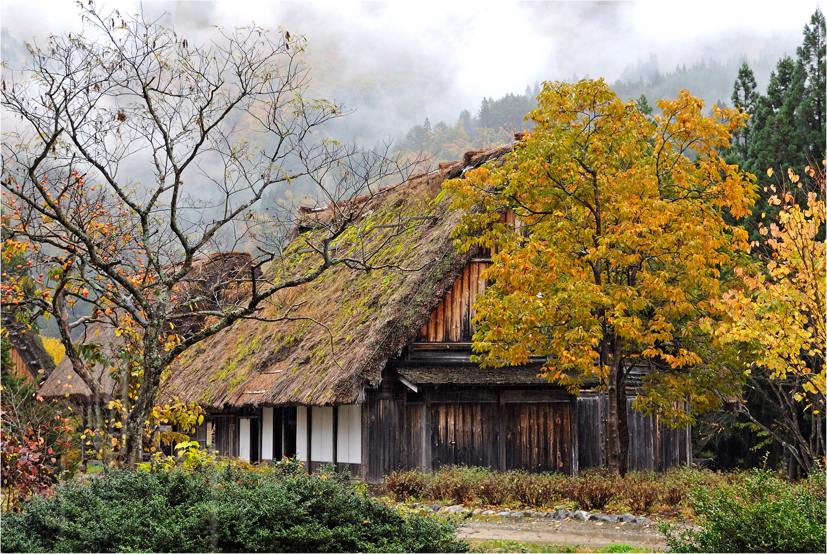 Japanische Herbstszene 02