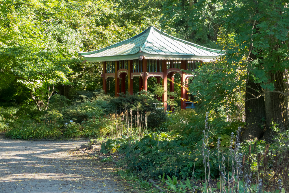 Japanische Laube im Arboretum