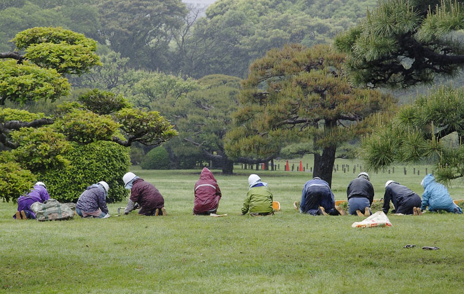 Japanische Parkpflege