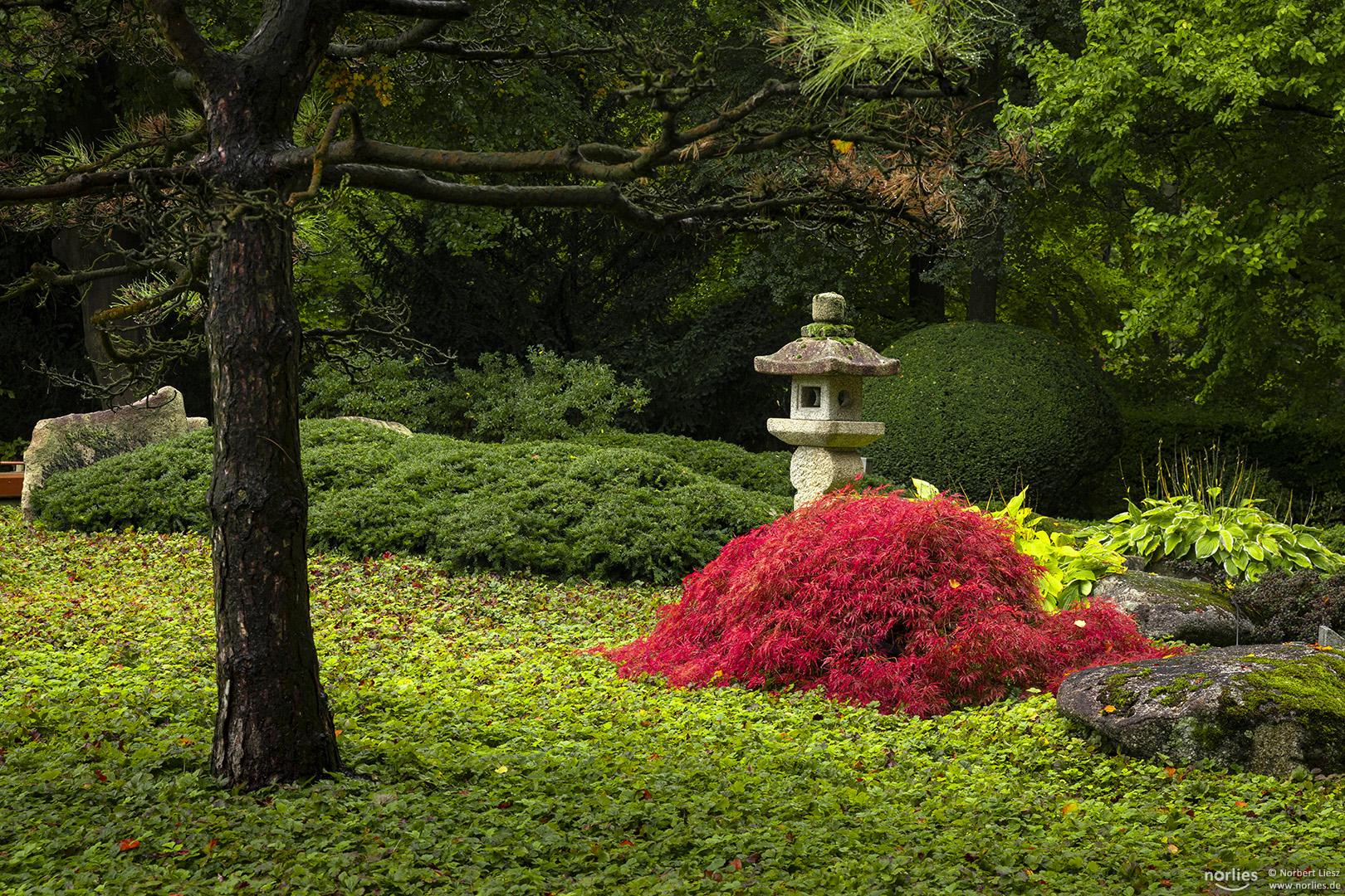 Japanische Steinlaterne