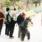 Japanische Touristen