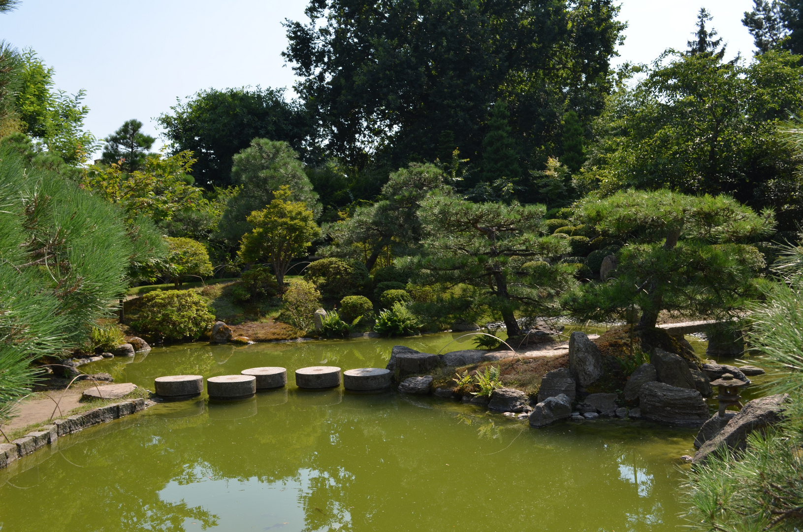 Japanischer Bonseigarten, Ferch