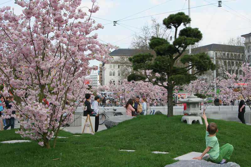 "Japanischer Frühling" vor dem Hbf in Hannover 3