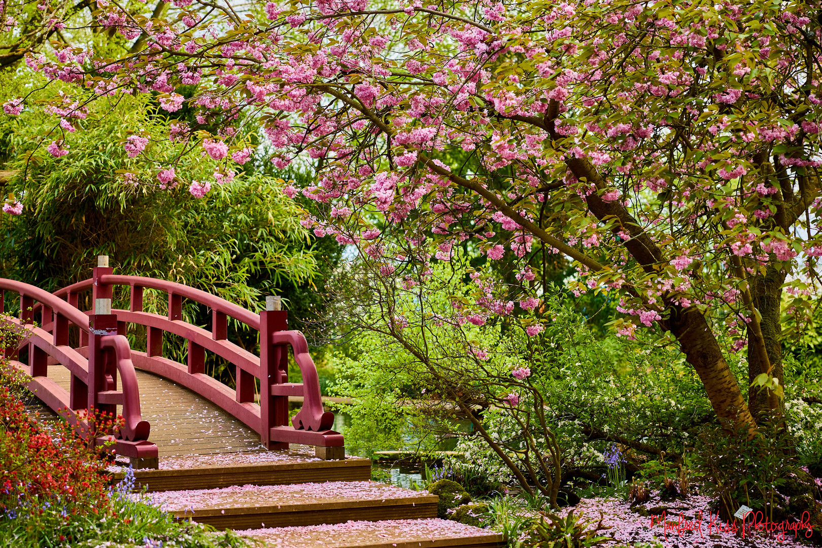 Japanischer Garten 01