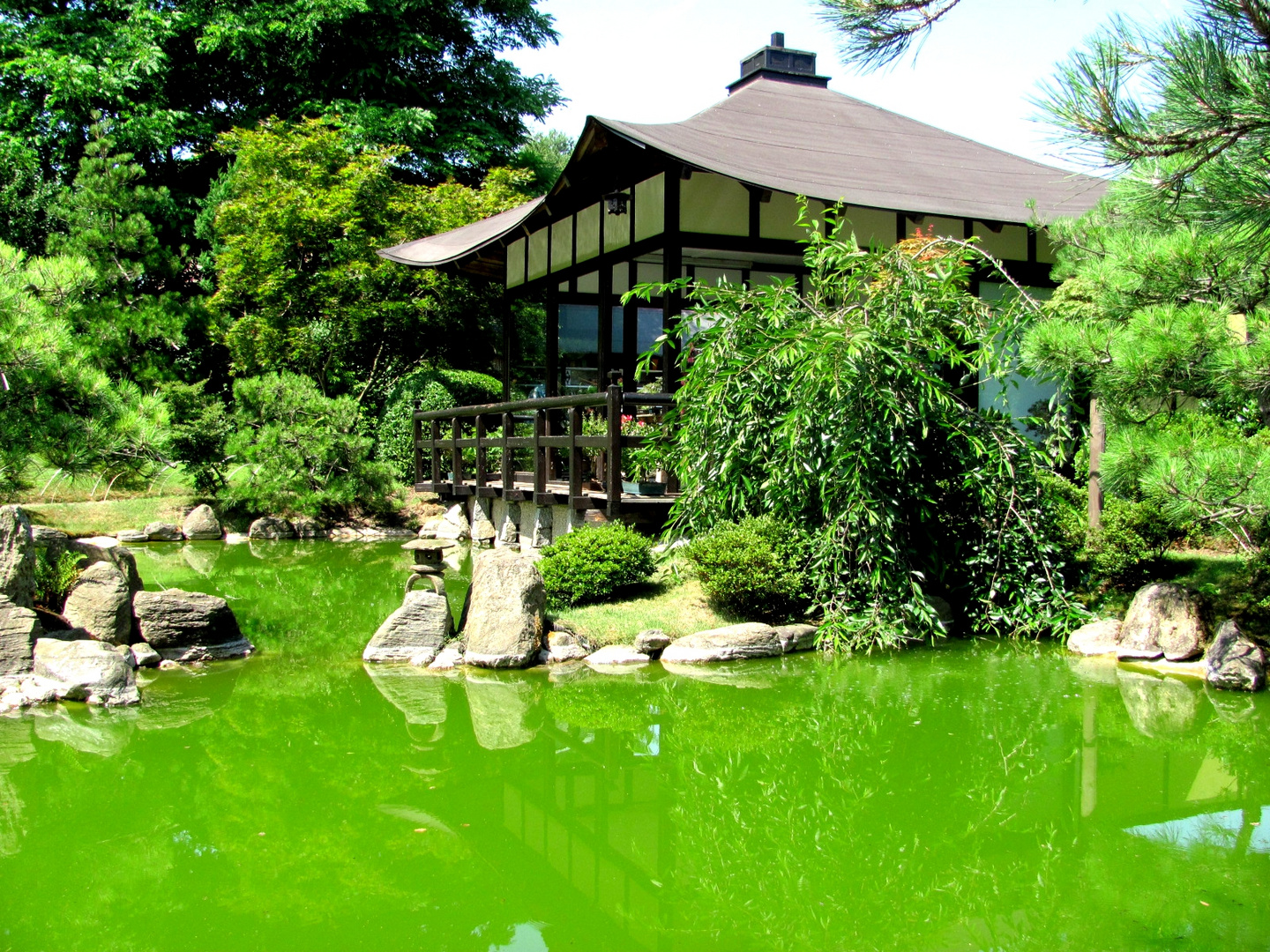 Japanischer Garten Foto & Bild | architektur, ländliche architektur
