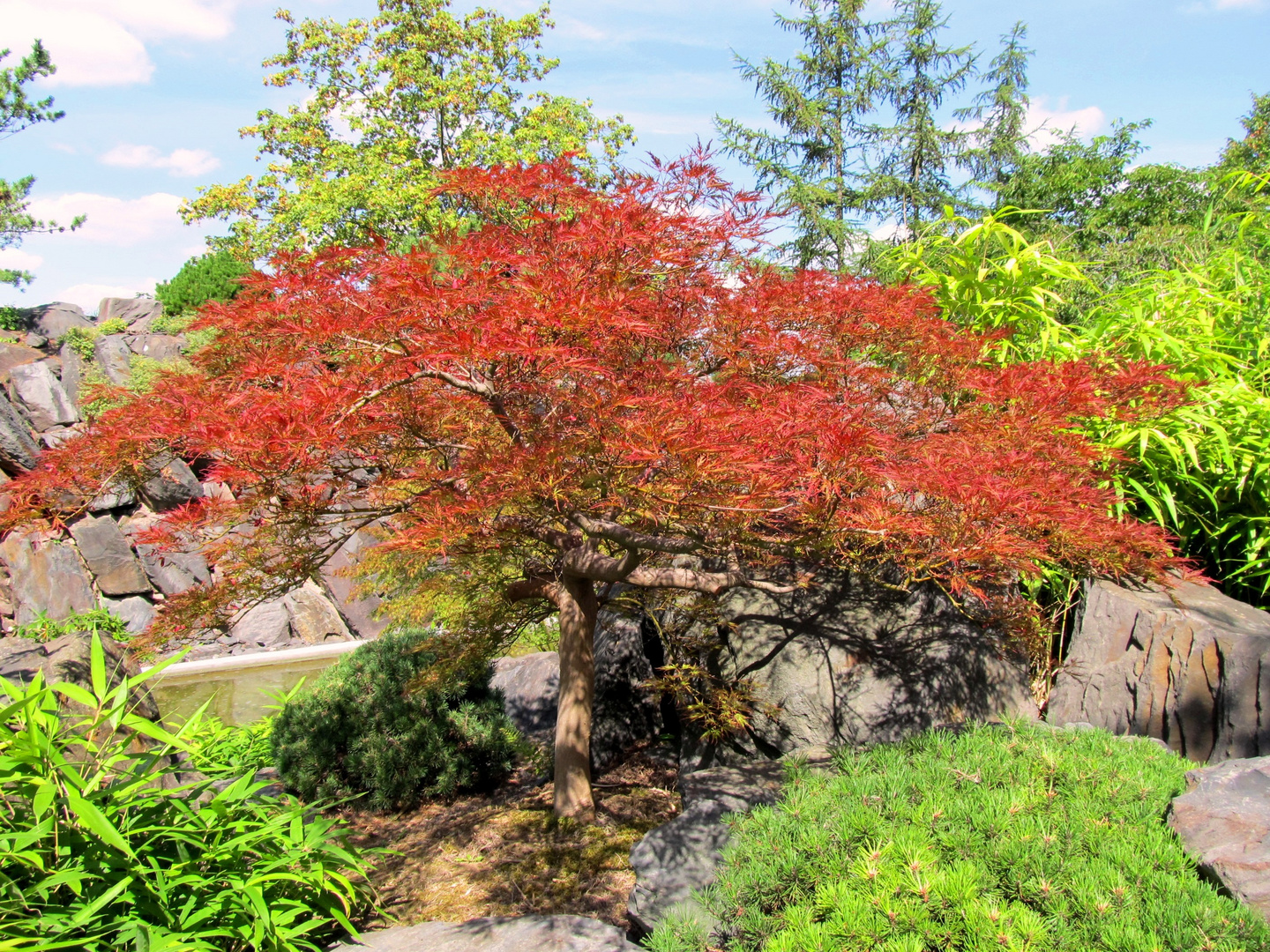 Japanischer Garten