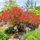 Japanischer Garten