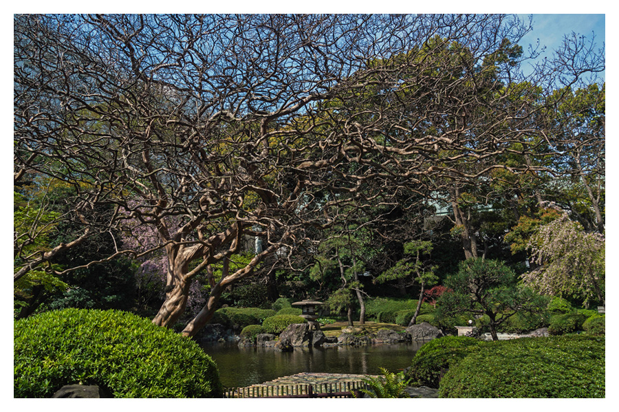 Japanischer Garten