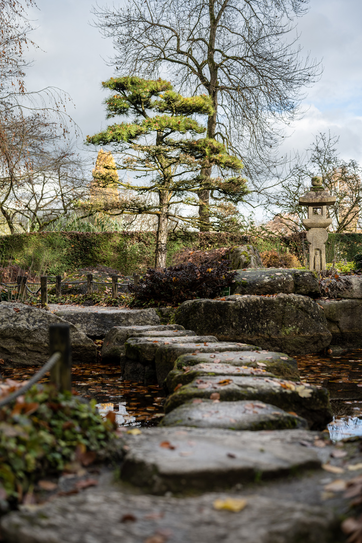 Japanischer Garten