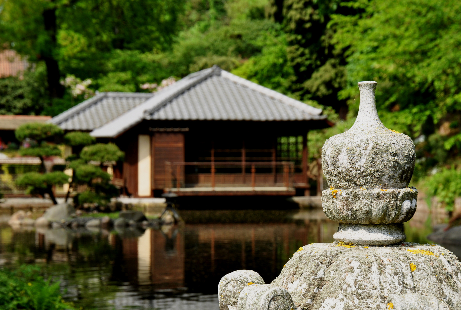 Japanischer Garten