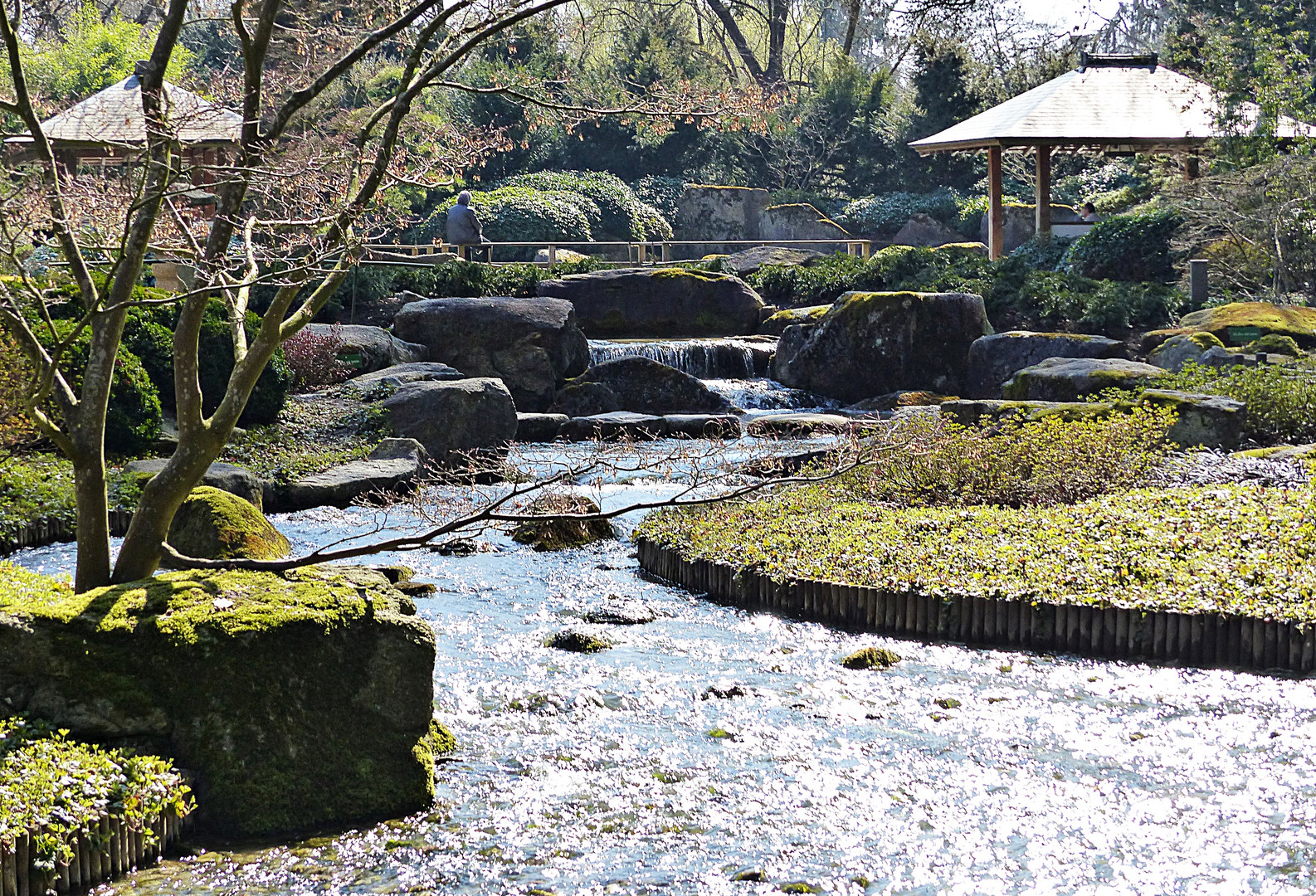 Japanischer Garten 1