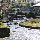 Japanischer Garten 1