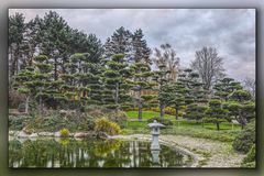 Japanischer Garten 1