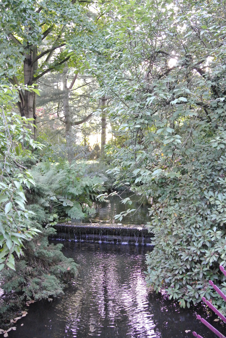 Japanischer Garten