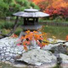 Japanischer Garten