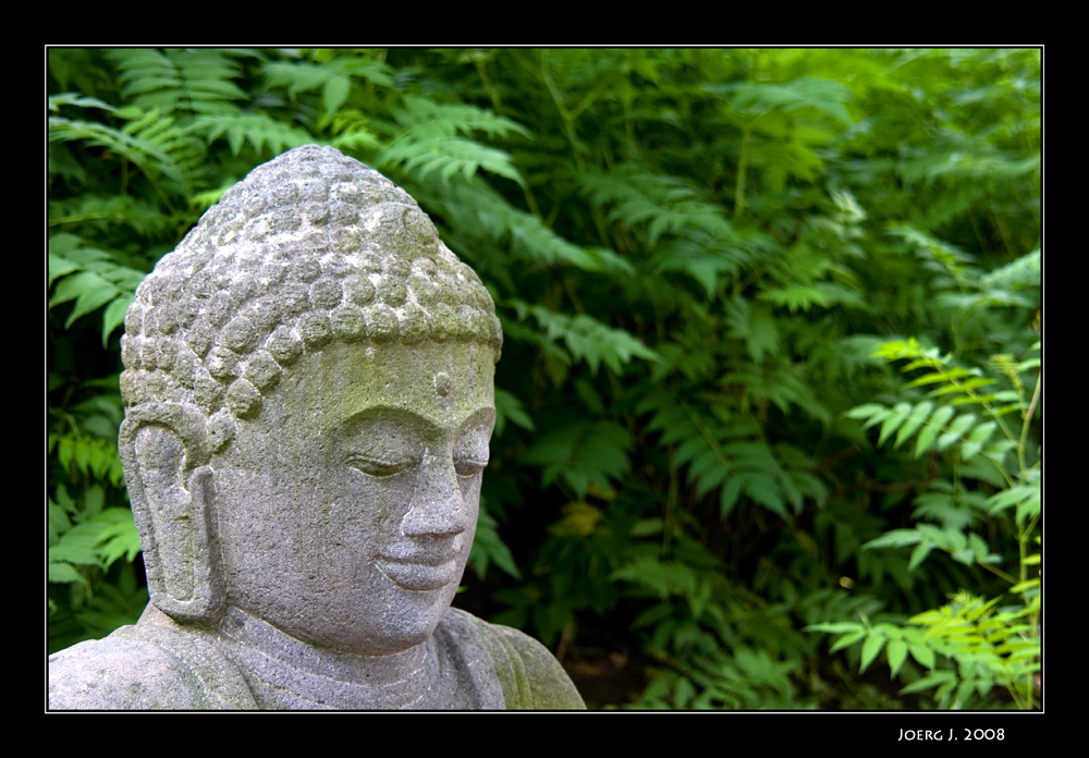 Japanischer Garten #2