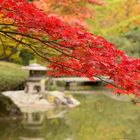 Japanischer Garten 2