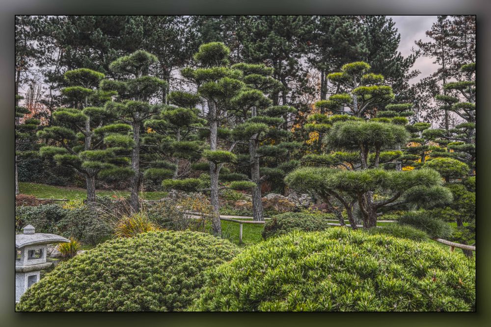 Japanischer Garten 2