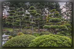 Japanischer Garten 2