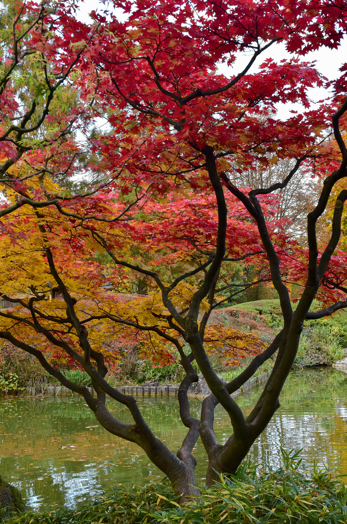 Japanischer Garten