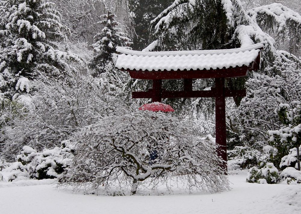 Japanischer Garten 24.01.2015