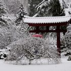 Japanischer Garten 24.01.2015