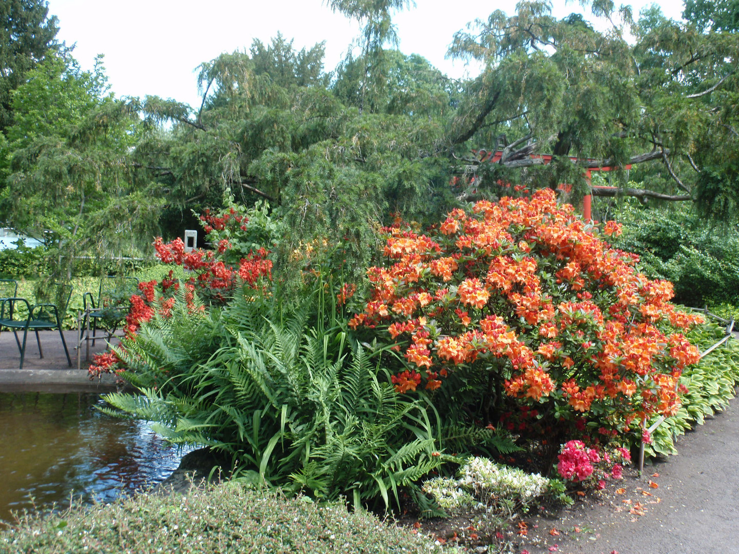 japanischer garten