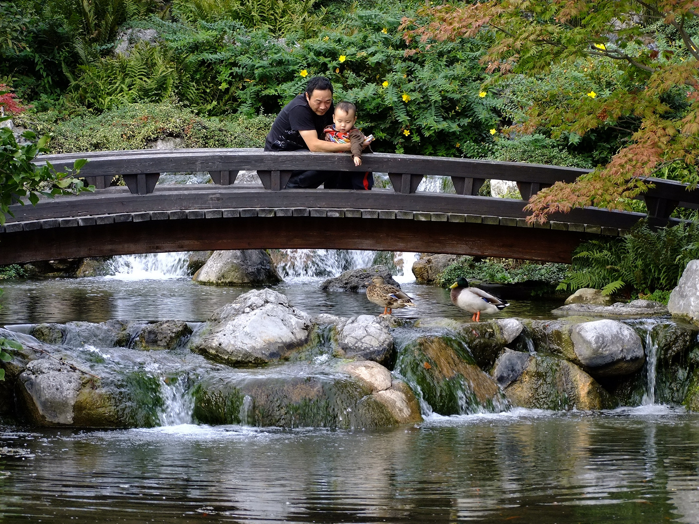 Japanischer Garten